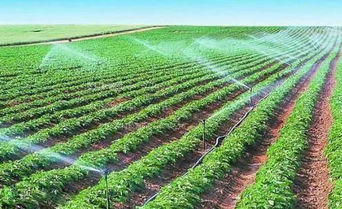 外国内射骚逼逼逼逼农田高 效节水灌溉